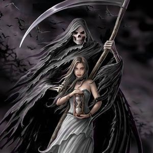 Meet your Posher, Donna